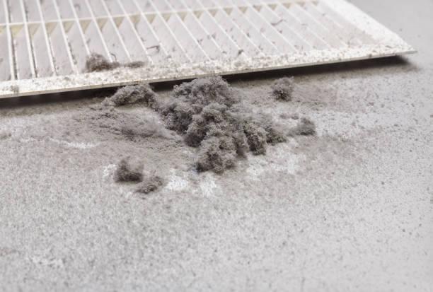 Best Affordable HVAC Duct Cleaning  in Osage, IA