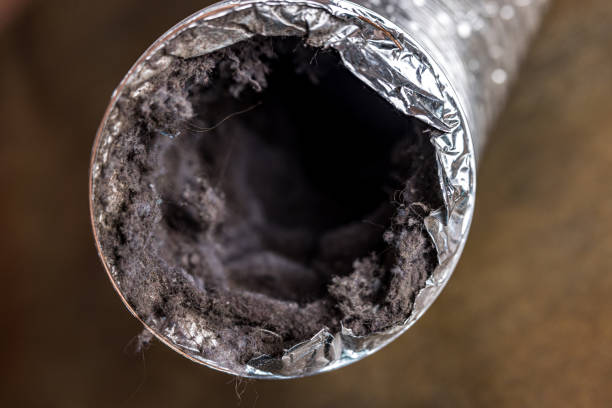 Best Residential Air Duct Cleaning  in Osage, IA